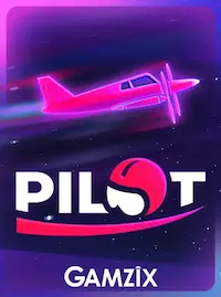 Pilot crash at 95OK COM